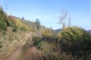 De la Haute Bouille au GR 531